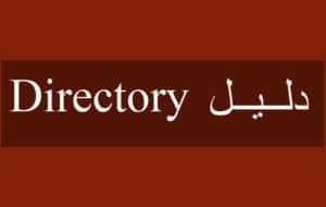 فكرة موقع الكتروني دليل معلومات! والربح منه بطريقتين